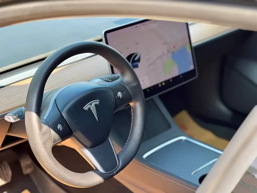 Tesla Model 3 2021 из CN, фото 4
