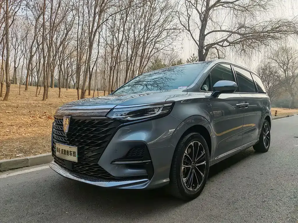 Roewe iMAX8 2021 из CN, фото 1