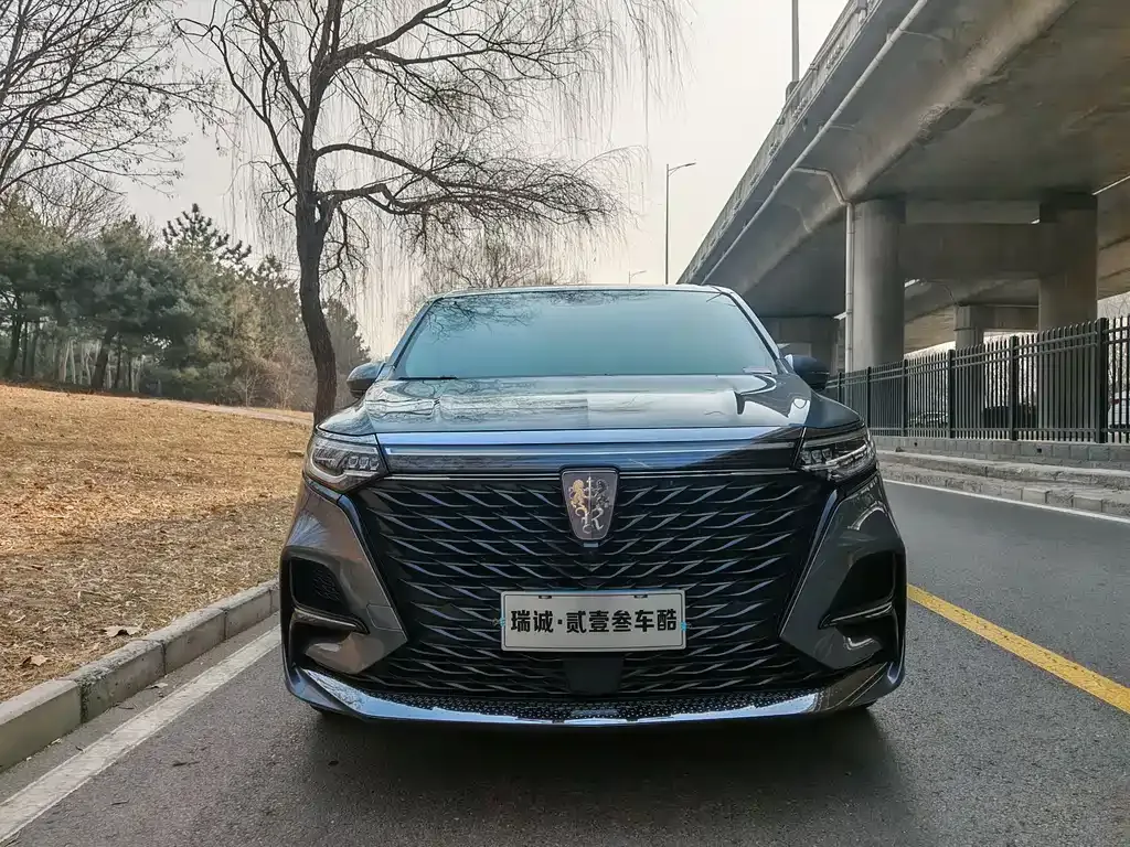 Roewe iMAX8 2021 из CN, фото 10