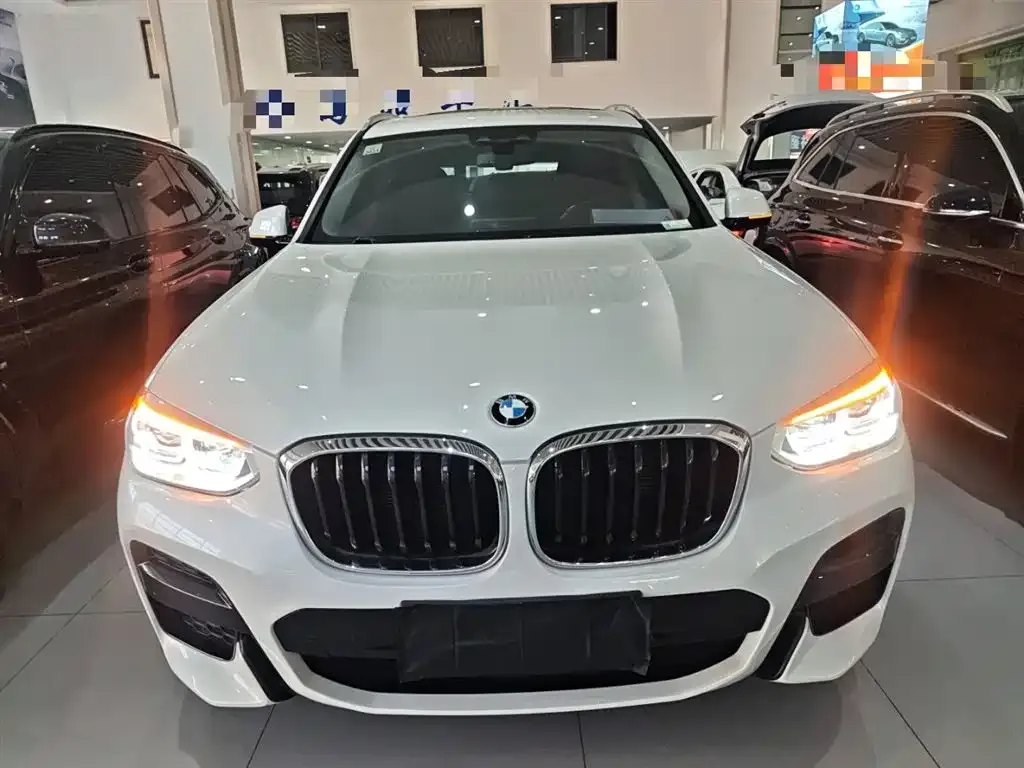 BMW X3 2021 из CN, фото 10