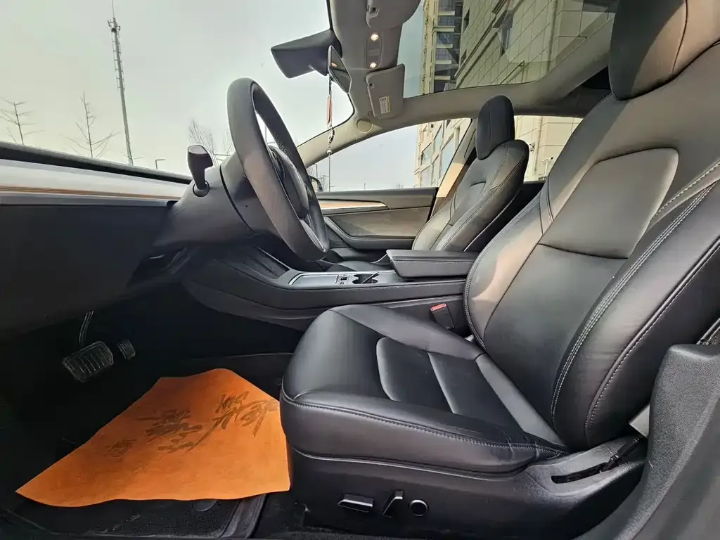 Tesla Model 3 2022 из CN, фото 5
