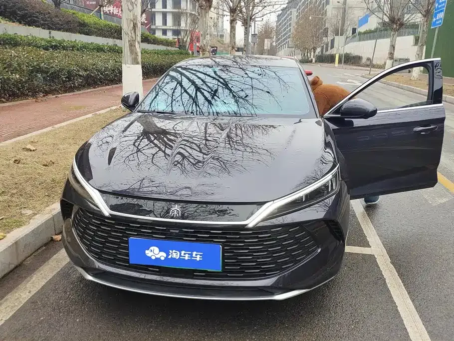 BYD Qin L 2024 из CN, фото 3
