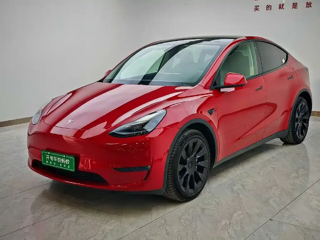 Tesla Model Y 2021 из CN, фото 1