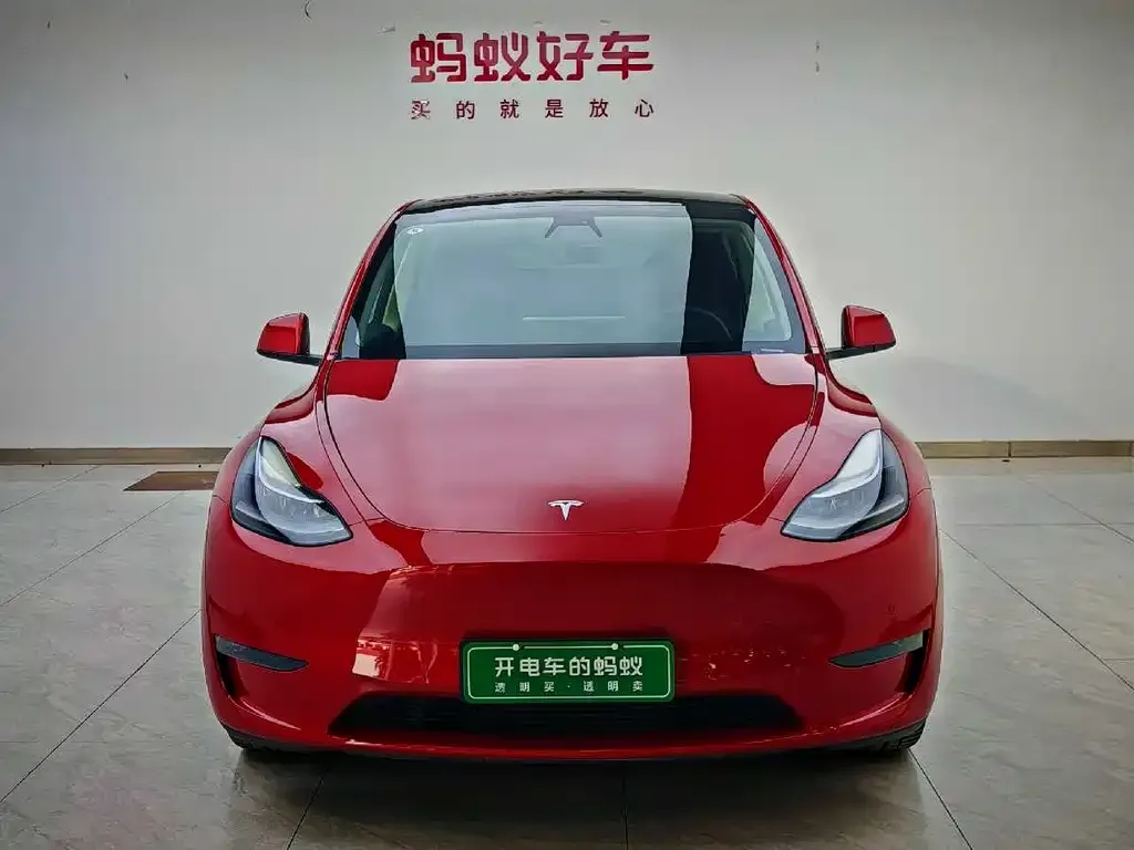 Tesla Model Y 2021 из CN, фото 8