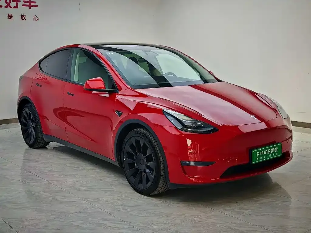 Tesla Model Y 2021 из CN, фото 3