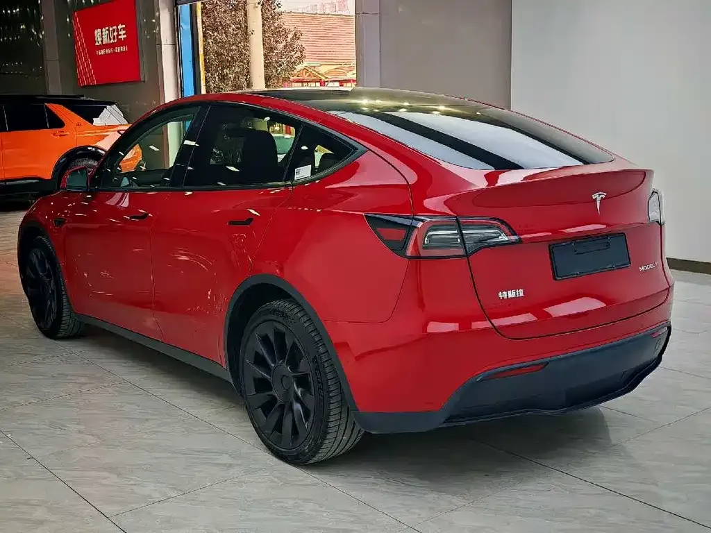 Tesla Model Y 2021 из CN, фото 9