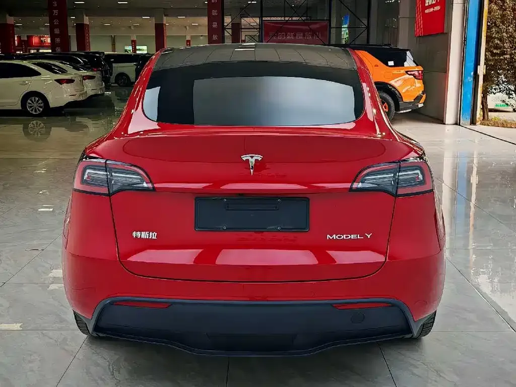 Tesla Model Y 2021 из CN, фото 7