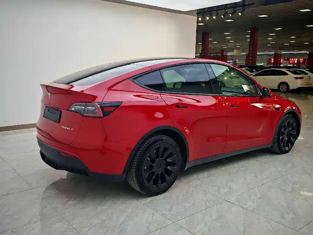 Tesla Model Y 2021 из CN, фото 6
