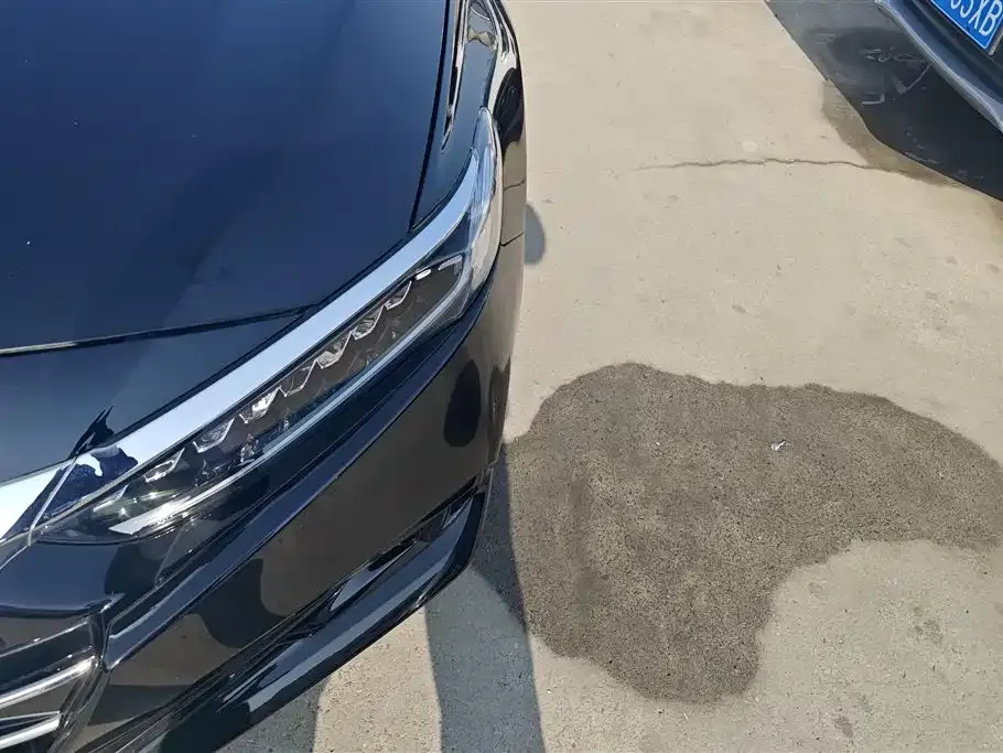 Honda Accord 2023 из CN, фото 6