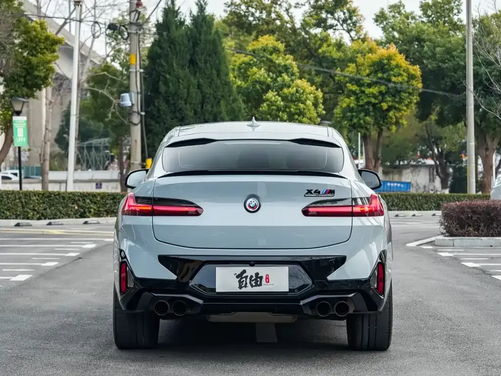 BMW X4 M 2023 из CN, фото 9
