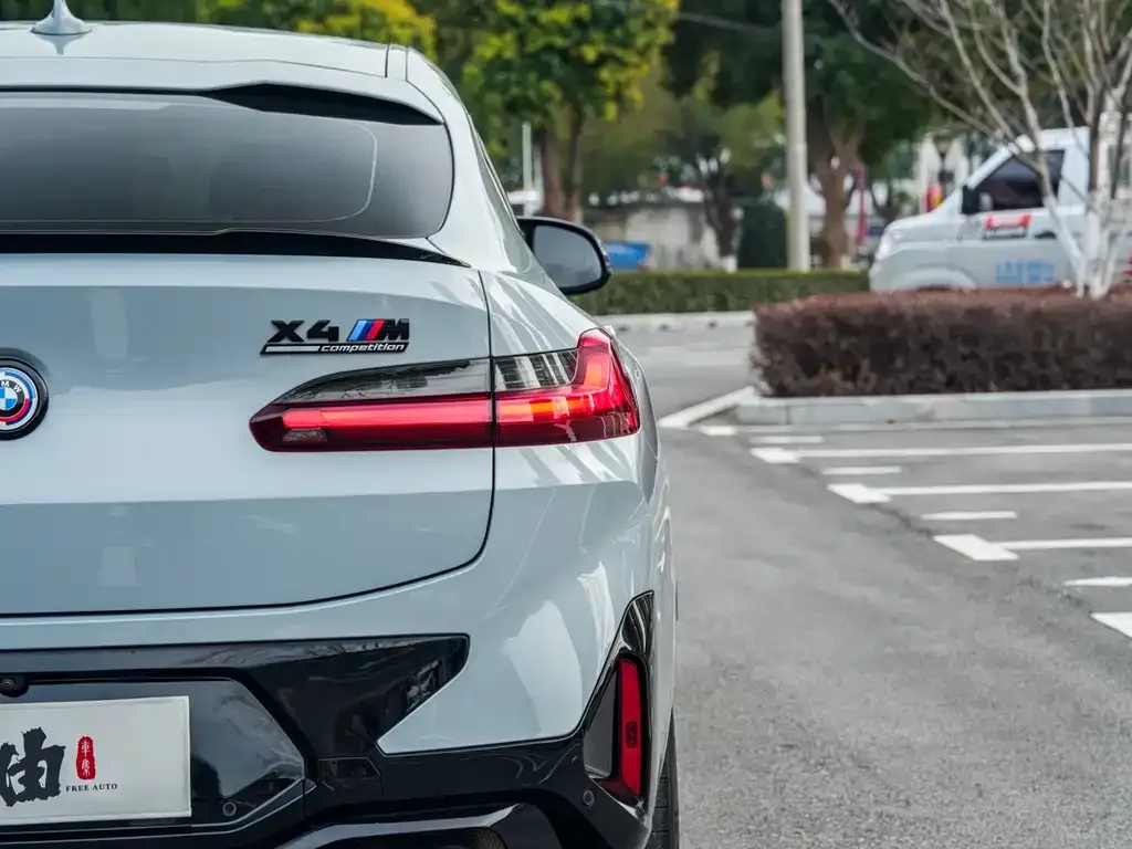 BMW X4 M 2023 из CN, фото 4