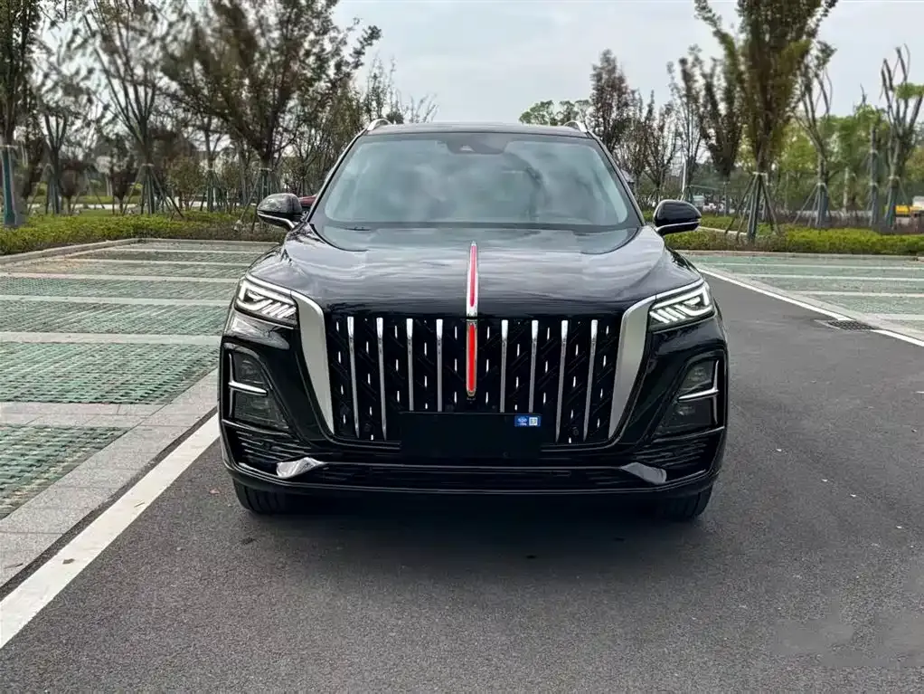Hongqi HS5 2024 из CN, фото 7
