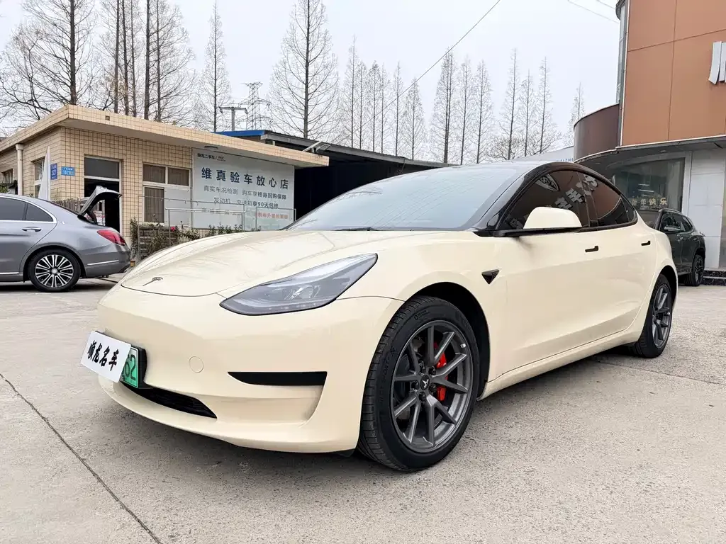 Tesla Model 3 2022 из CN, фото 1