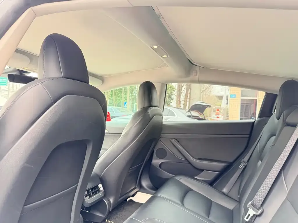 Tesla Model 3 2022 из CN, фото 2