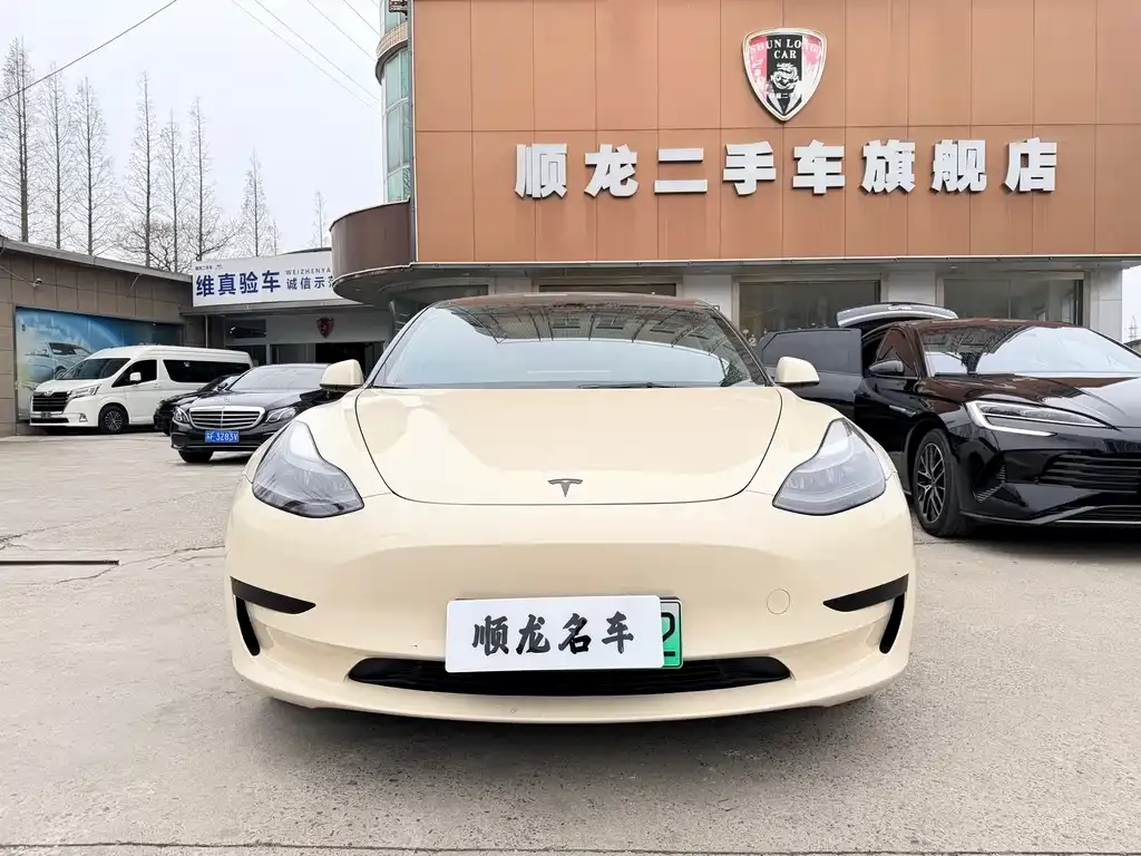 Tesla Model 3 2022 из CN, фото 9