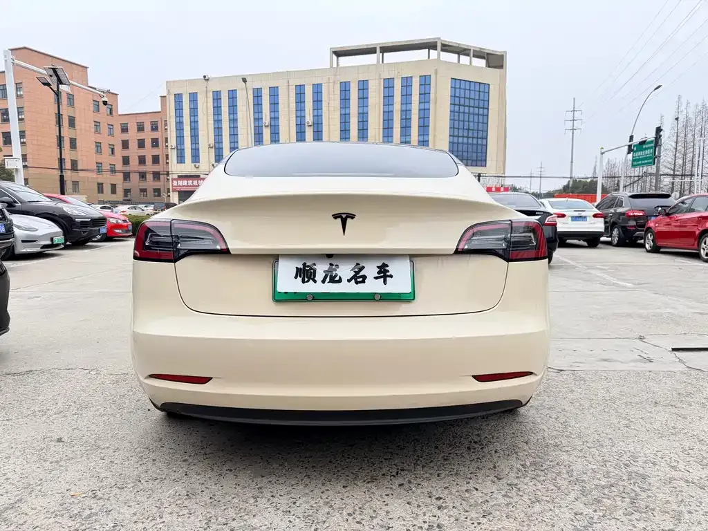Tesla Model 3 2022 из CN, фото 7