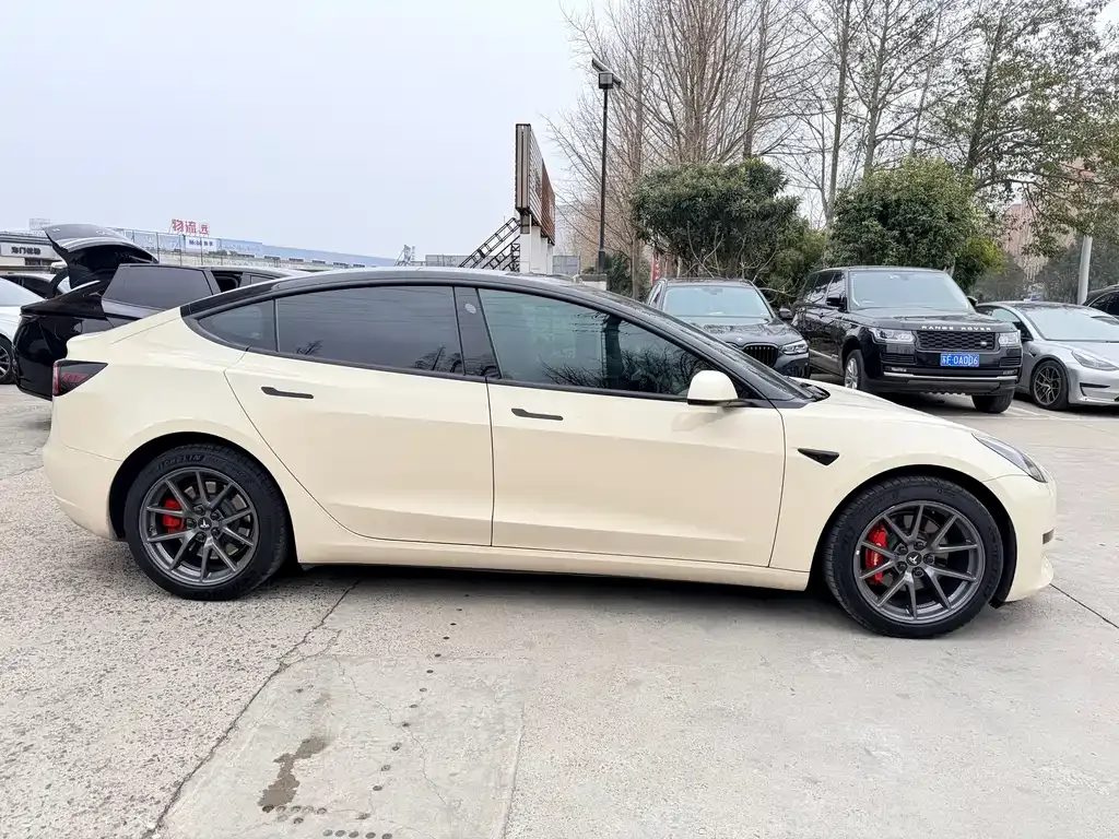 Tesla Model 3 2022 из CN, фото 8
