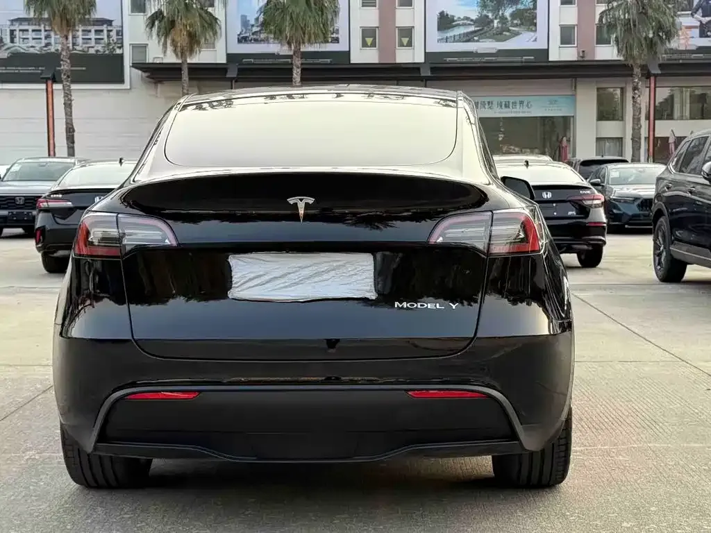 Tesla Model Y 2022 из CN, фото 7