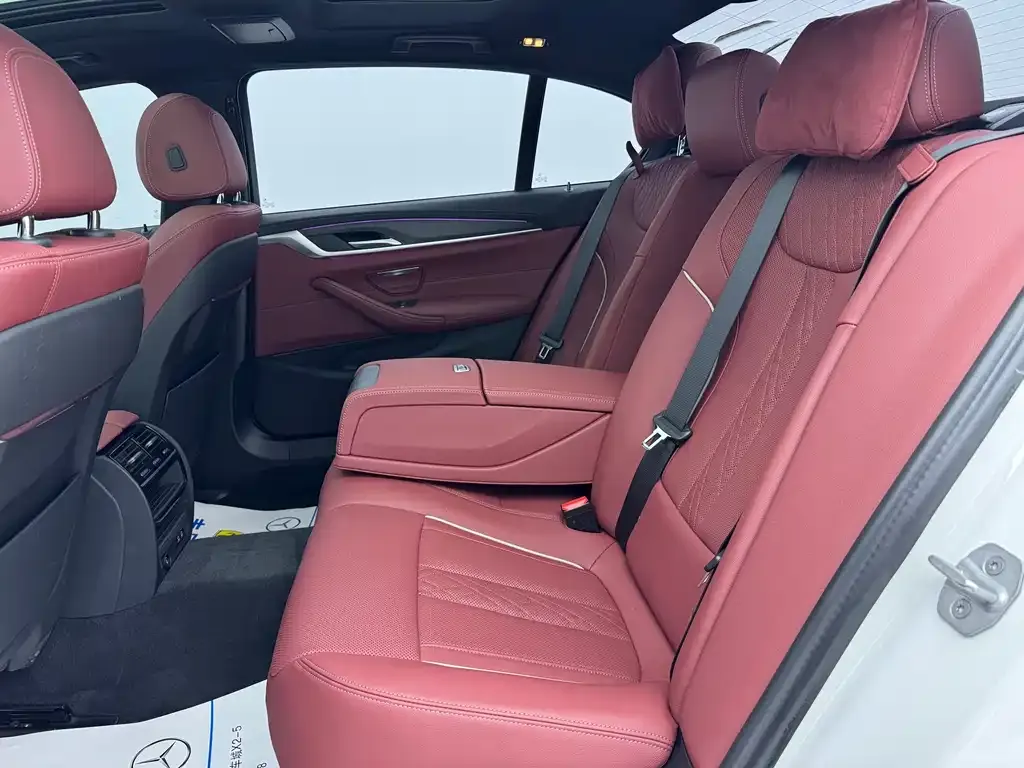 BMW 5 Series 2023 из CN, фото 7