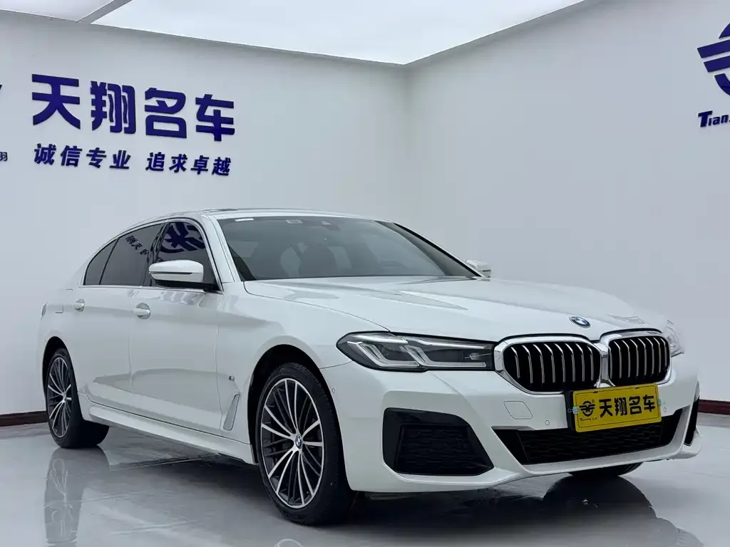 BMW 5 Series 2023 из CN, фото 3