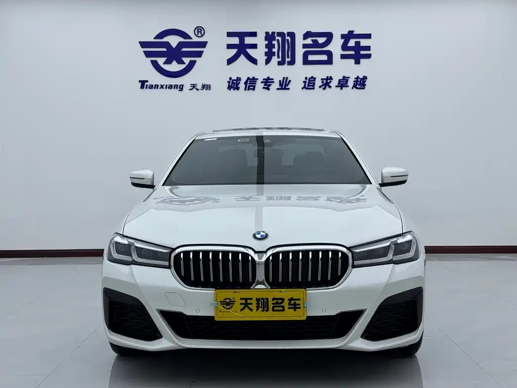BMW 5 Series 2023 из CN, фото 5