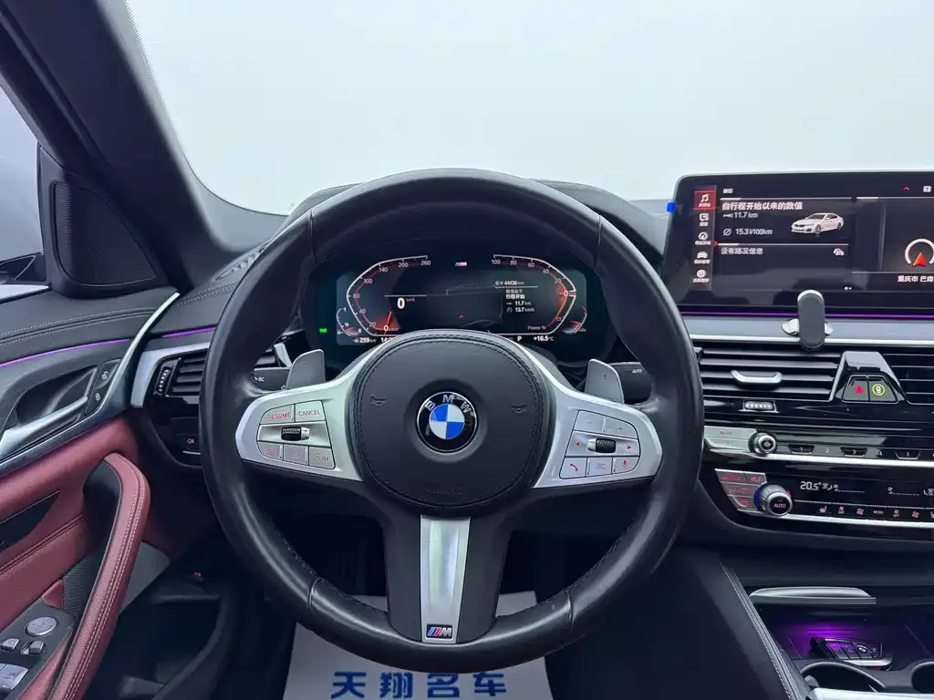 BMW 5 Series 2023 из CN, фото 6