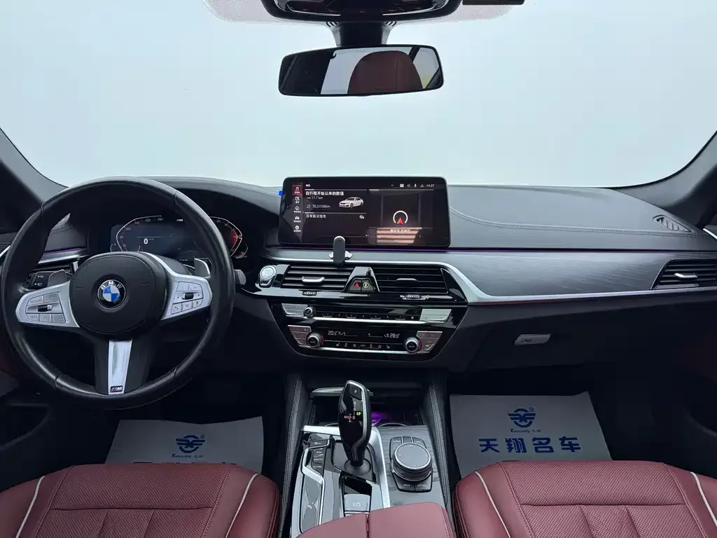 BMW 5 Series 2023 из CN, фото 4