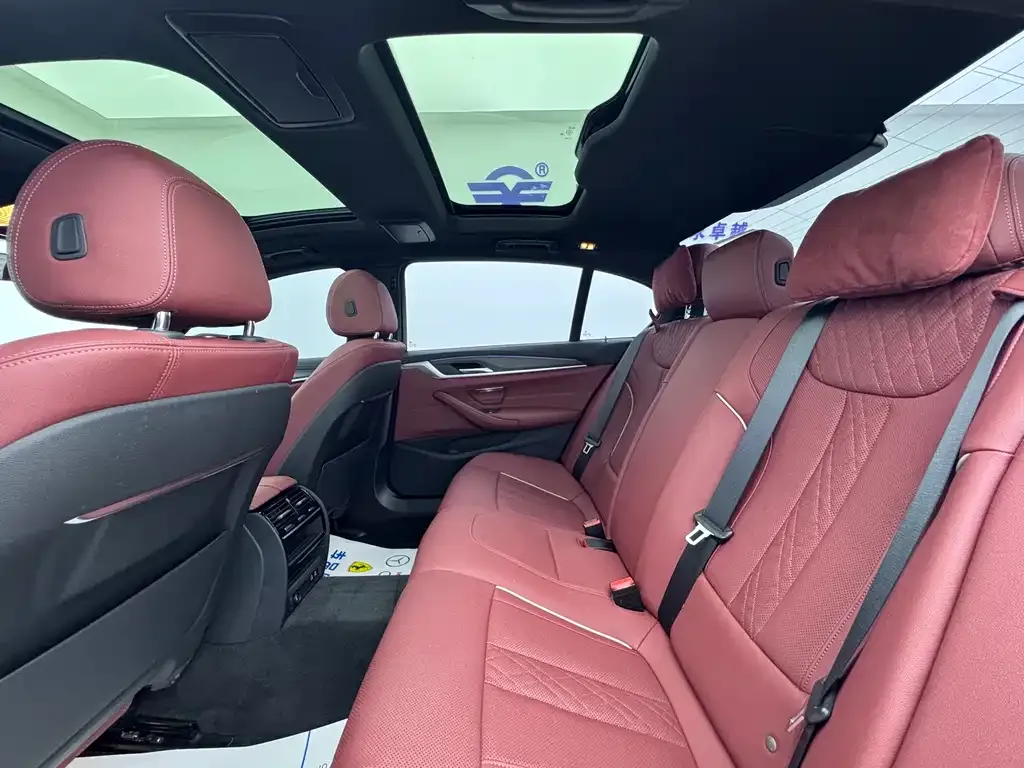 BMW 5 Series 2023 из CN, фото 9