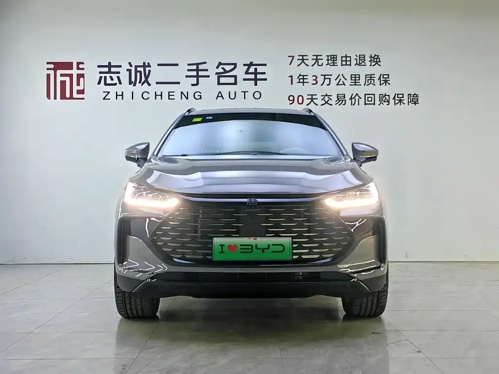 BYD Tang New Energy — фото 2