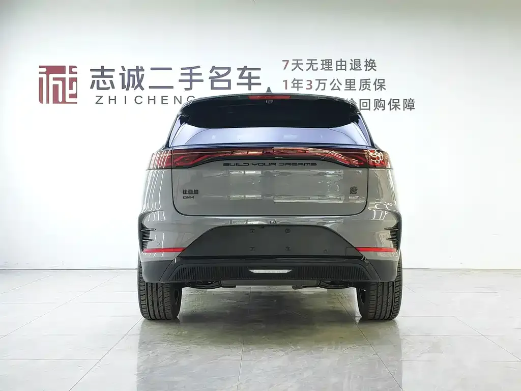 BYD Tang New Energy — фото 6