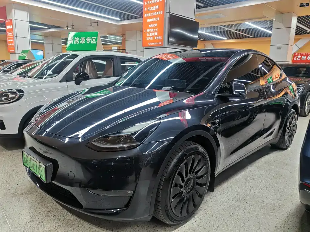 Tesla Model Y — фото 1