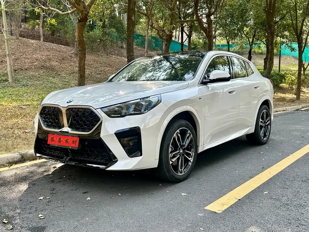 BMW X2 (Import) 2025 из CN, фото 1