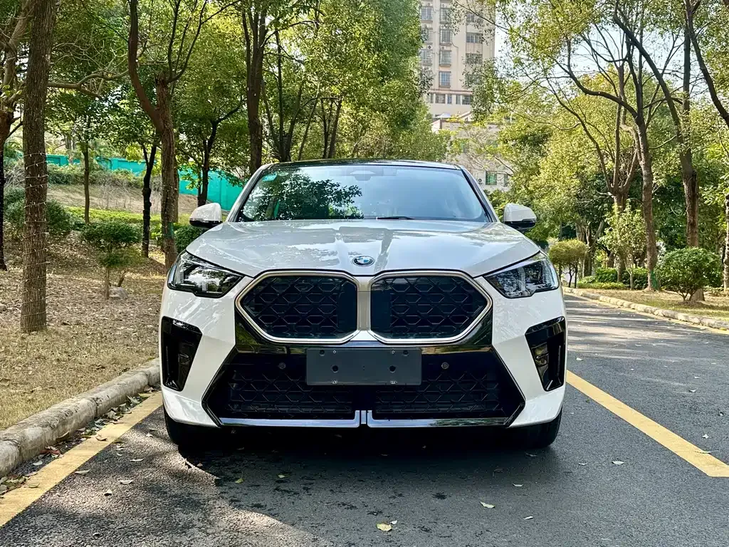 BMW X2 (Import) 2025 из CN, фото 10