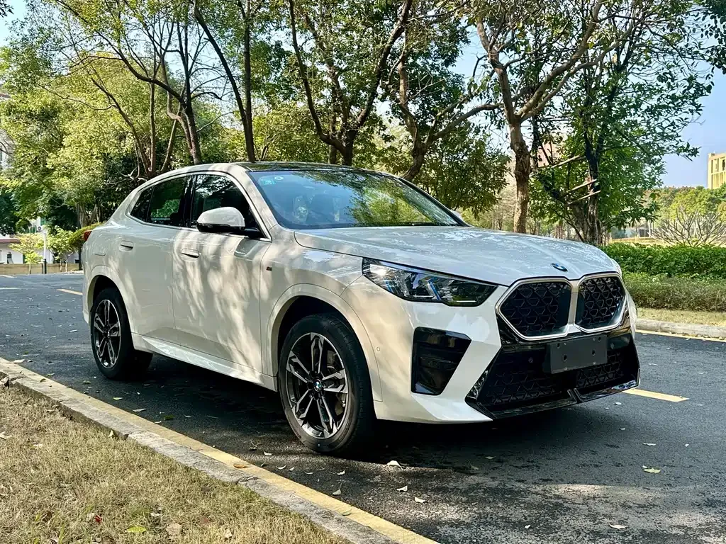 BMW X2 (Import) 2025 из CN, фото 6