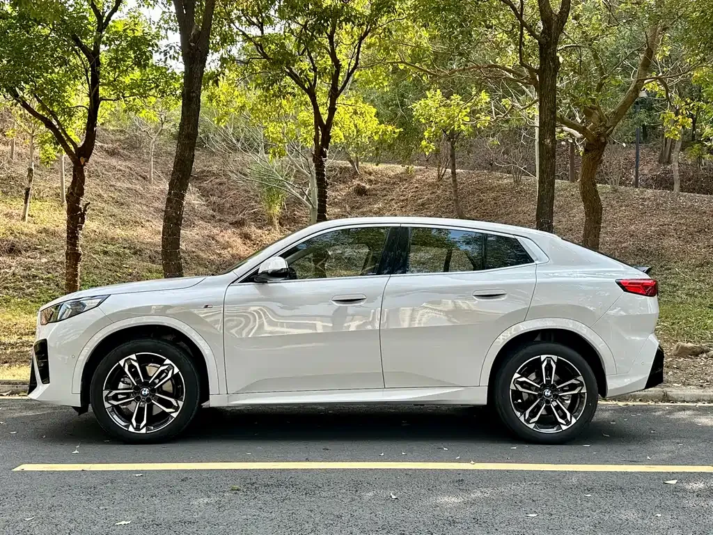 BMW X2 (Import) 2025 из CN, фото 8