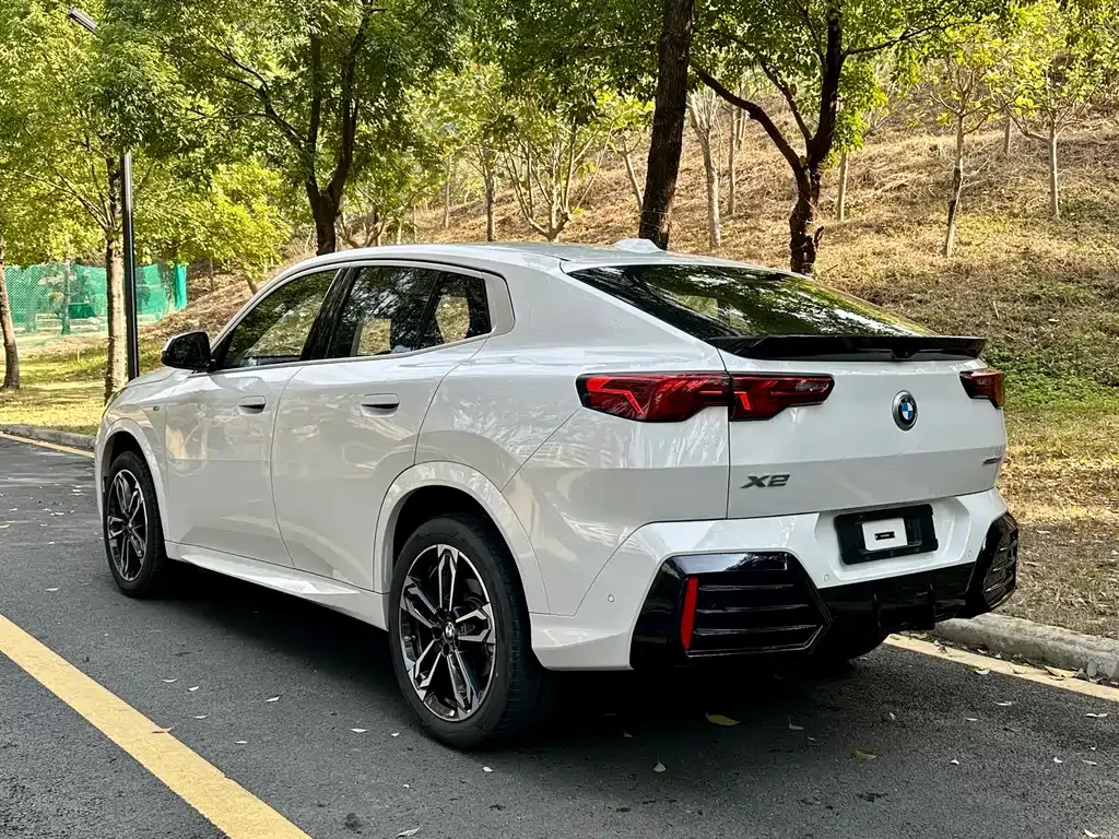 BMW X2 (Import) 2025 из CN, фото 7