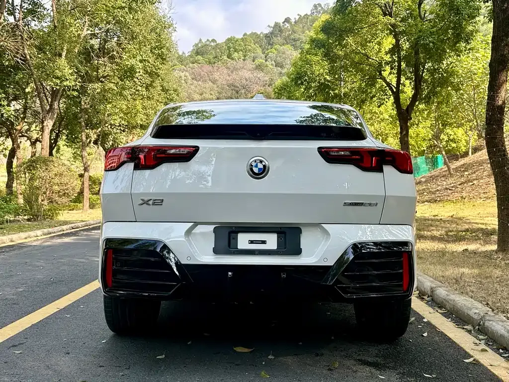 BMW X2 (Import) 2025 из CN, фото 2