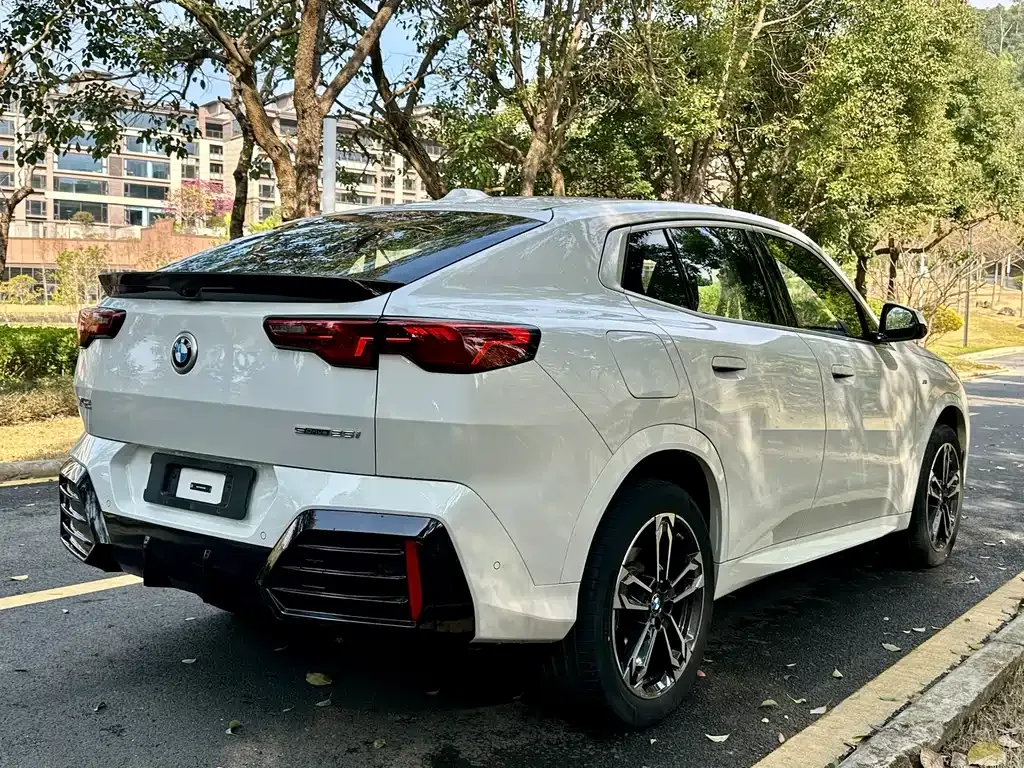 BMW X2 (Import) 2025 из CN, фото 5