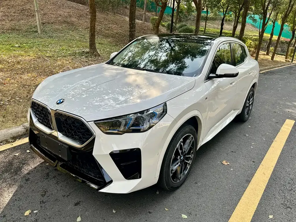 BMW X2 (Import) 2025 из CN, фото 4