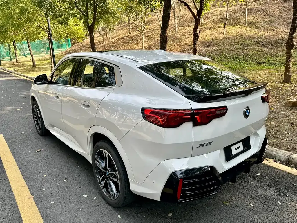 BMW X2 (Import) 2025 из CN, фото 9