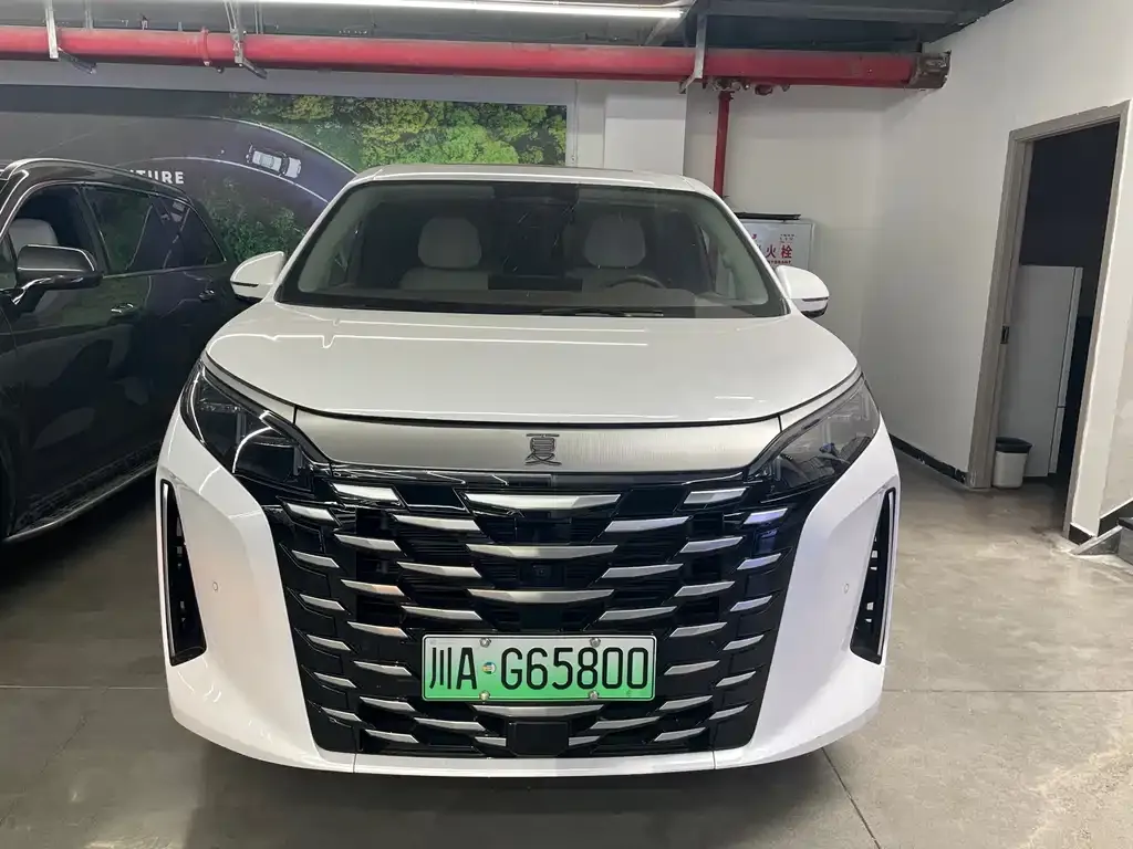 BYD Xia 2025 из CN, фото 8