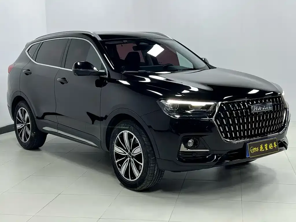Haval H6 2023 из CN, фото 5