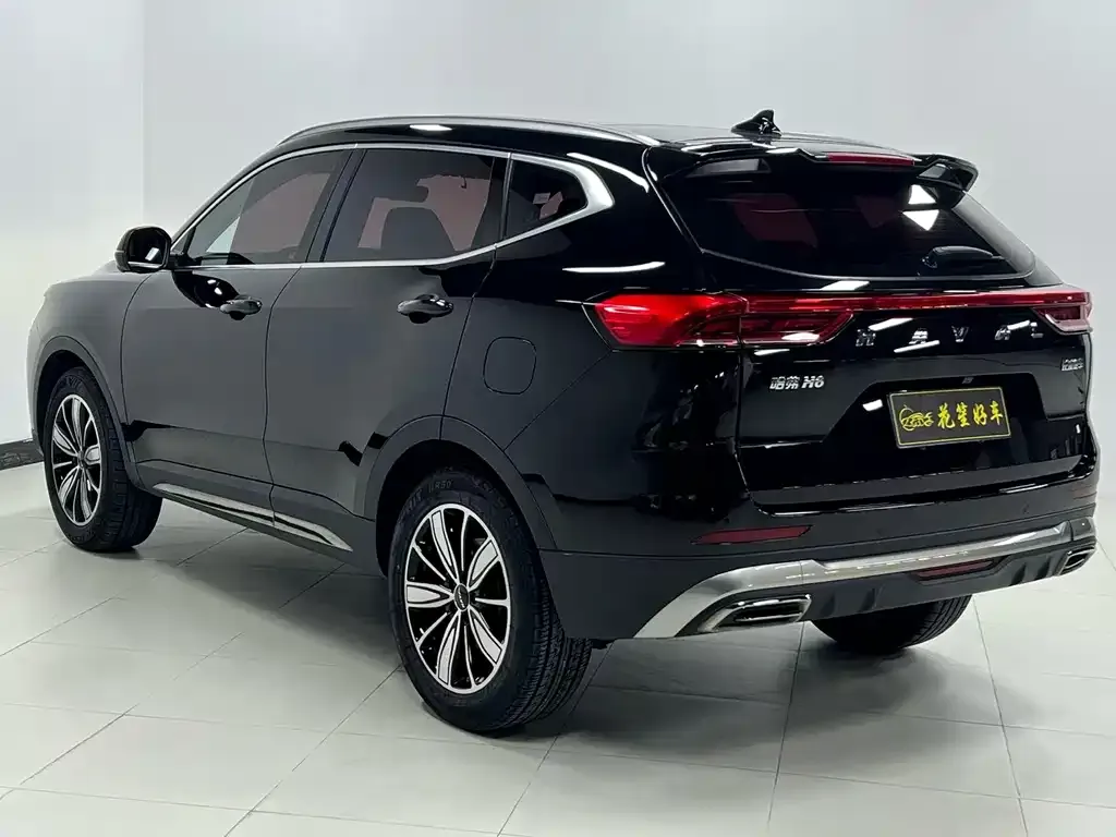 Haval H6 2023 из CN, фото 8