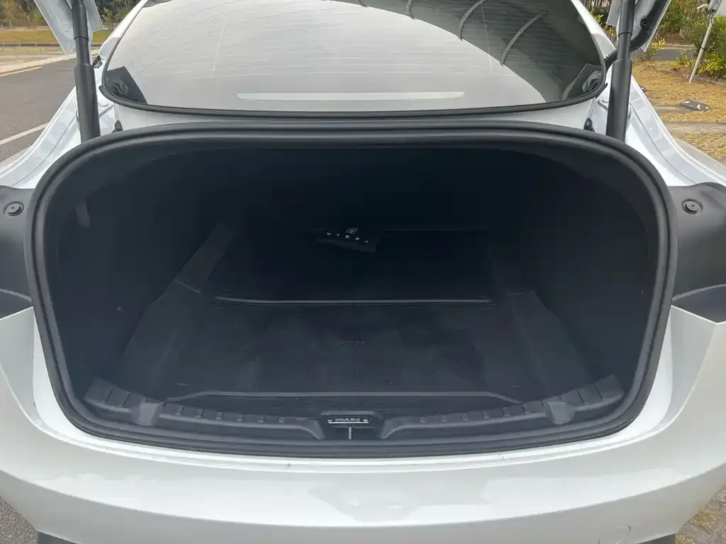 Tesla Model 3 2024 из CN, фото 2