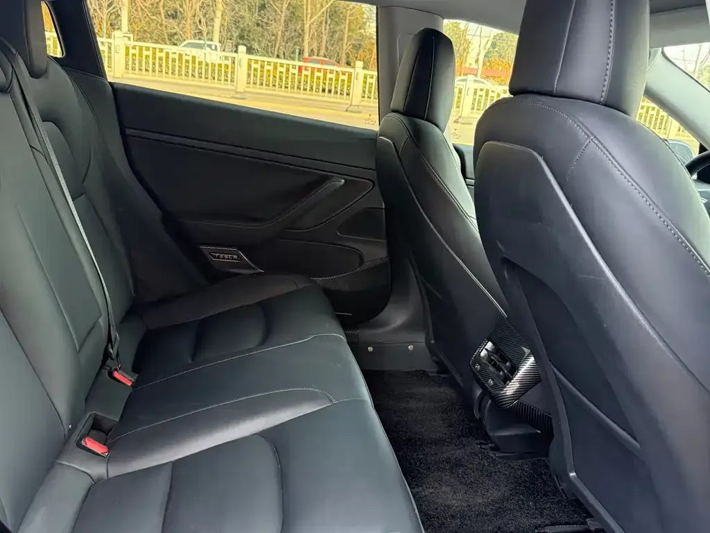 Tesla Model 3 2021 из CN, фото 5