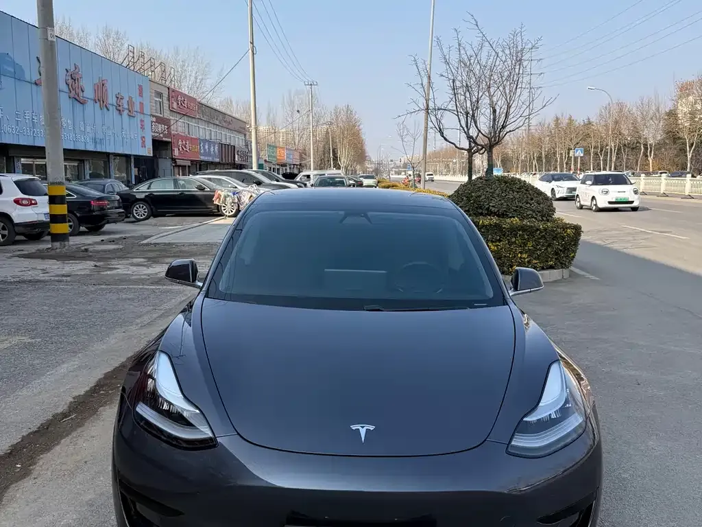 Tesla Model 3 2021 из CN, фото 7