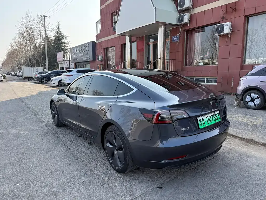 Tesla Model 3 2021 из CN, фото 3