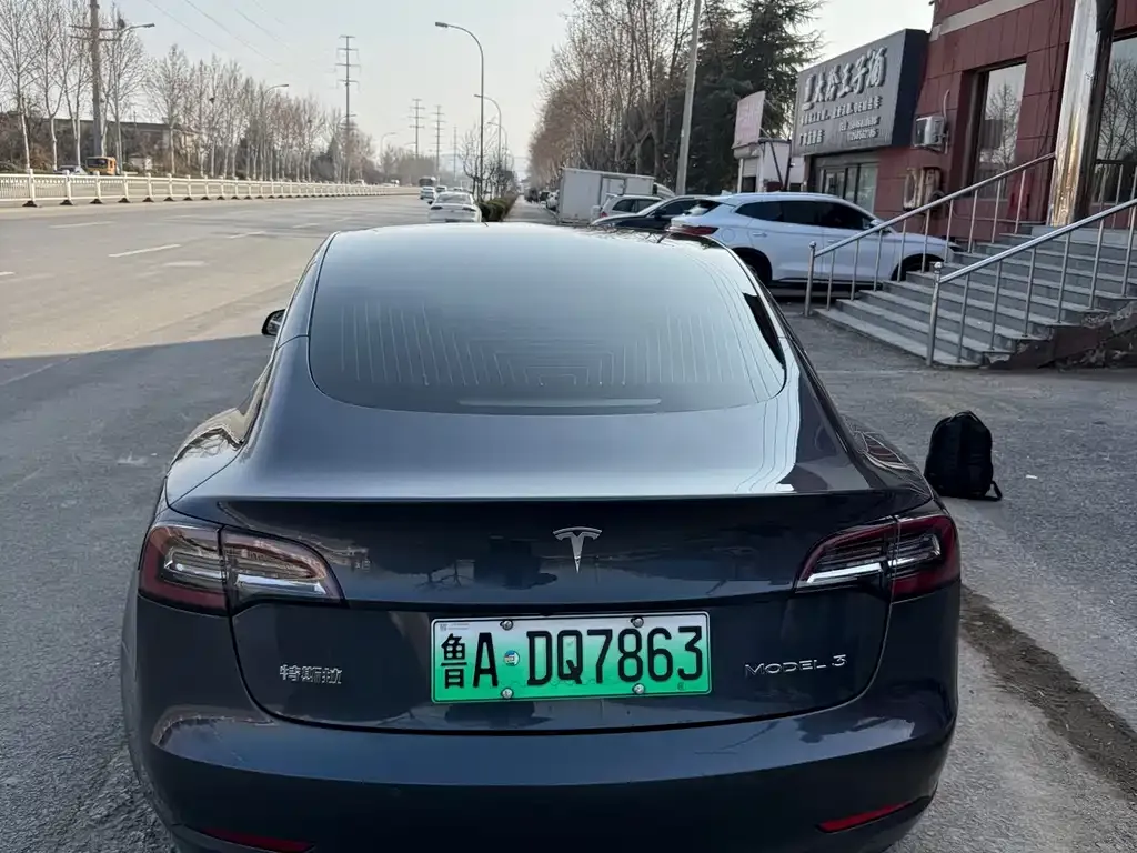 Tesla Model 3 2021 из CN, фото 6