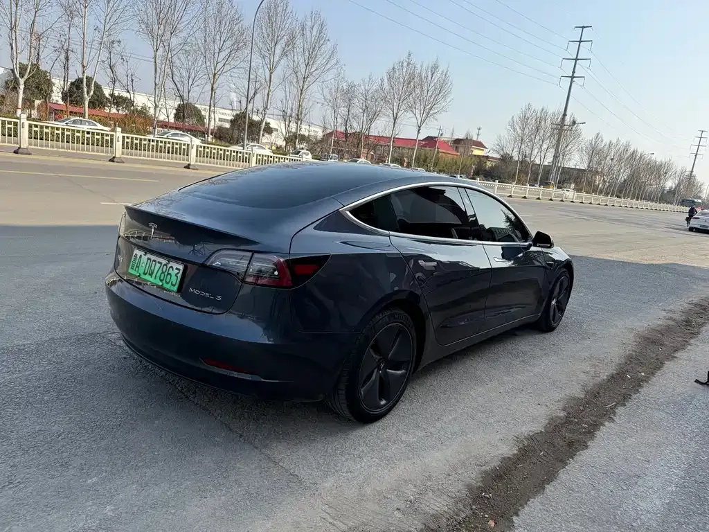 Tesla Model 3 2021 из CN, фото 9
