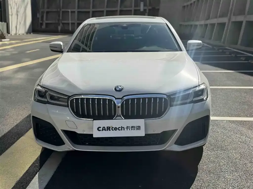 BMW 5 Series 2023 из CN, фото 6